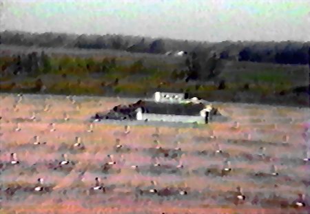Maple City Drive-In Theatre - FIELD FROM TOWER FROM DARYLL BURGESS